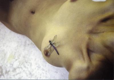 libelle piono